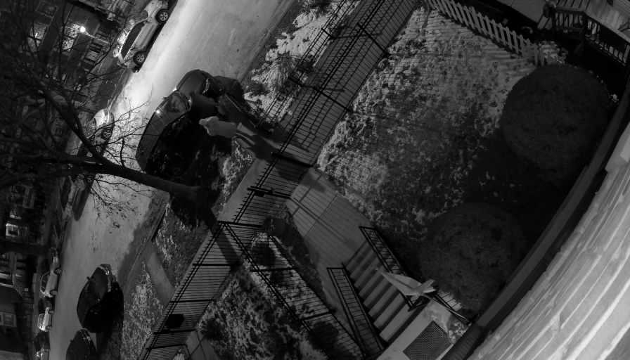 Reolink Camera Two_01_Reolink Home Hub One_20260123172722.jpg